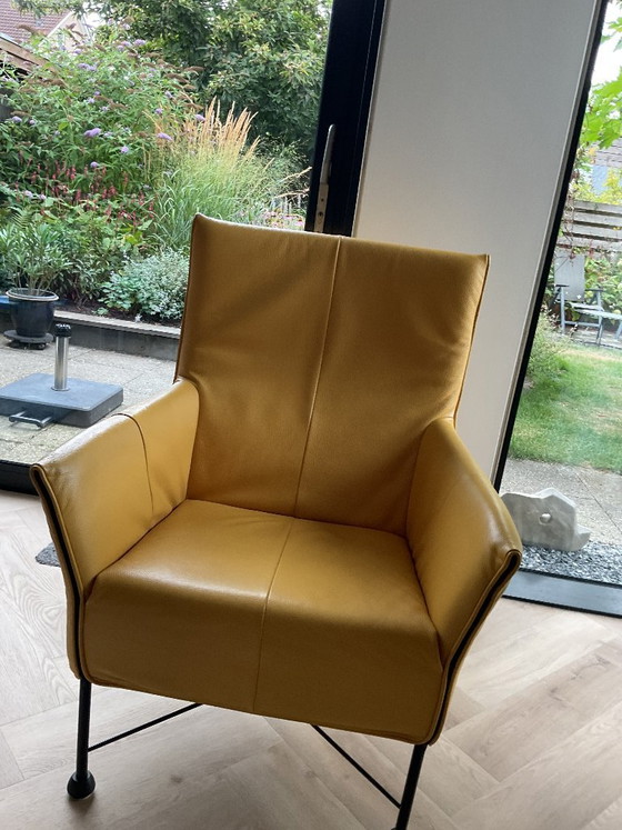 Sillones Montis Charly – Leather, Metal (photo 4 of 5)