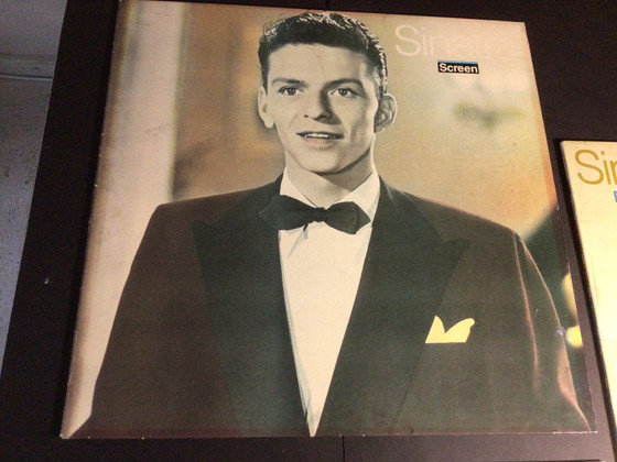 Image 1 of veranda foto / 3 platenhoezen/ koffietafelboek van Frank Sinatra