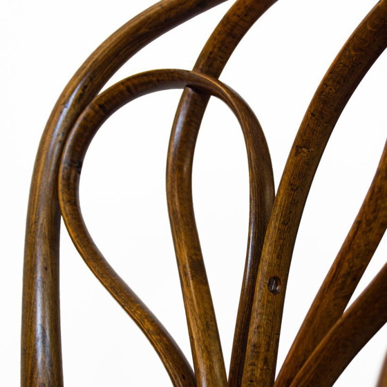 Image 1 of Antiker spanischer Bugholzstuhl in Eiche von Ventura Feliu, 1890er Jahre, 4er-Set