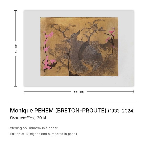 Monique Pehem (Breton-Prouté) Gravure Signée Broussailles 2014 – Lithographies et sérigraphies, Paper (photo 3 of 5)