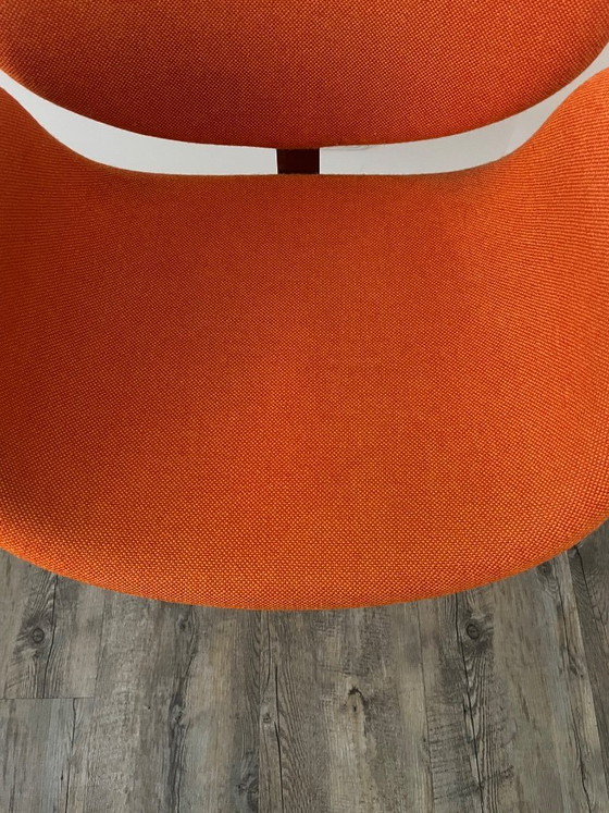 Image 1 of Artifort Little Tulip F163 Swivel Armchair