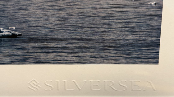 Image 1 of Steve McCurry - Galerie de IJzeren Man - Antartide di Steve McCurry - Anni 2000