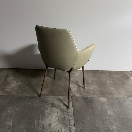 Maple  Set van 4 – Bert Plantagie, Sillas de comedor, Plastic, Textile (photo 4 of 4)
