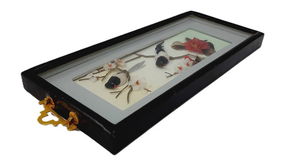 Image 1 of Composizione vintage di materiali naturali - uccelli in una cornice sotto vetro