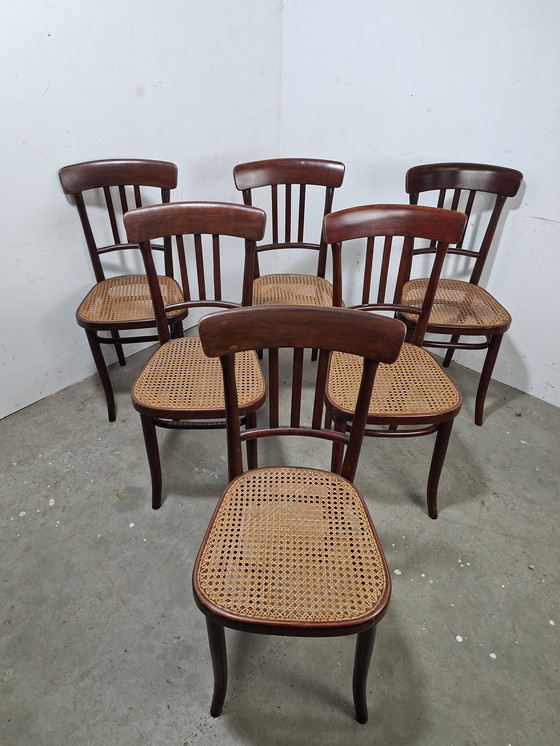 Image 1 of Set di 6 sedie vintage di design Thonet