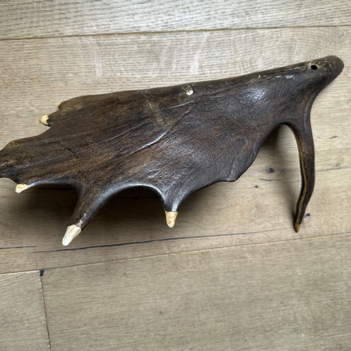 Cerf ou renne à bois vintage - objet décoratif ou porte-manteau
