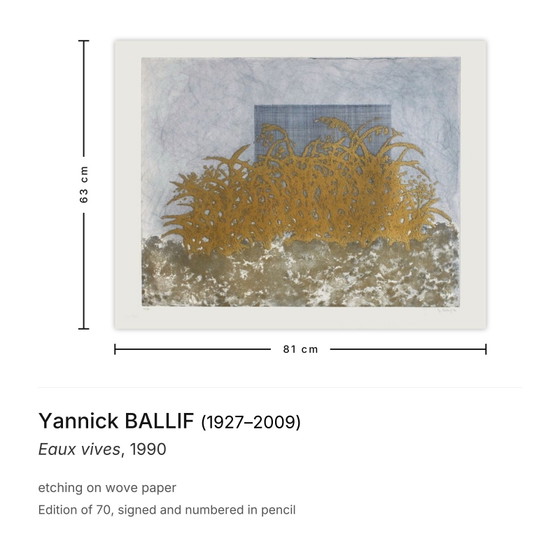 Image 1 of Yannick BALLIF Eaux vives Gravure signée 1990