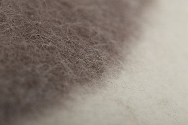 Image 1 of 1x Cuscino M&amp;Otto Design Maya 70x70 cm