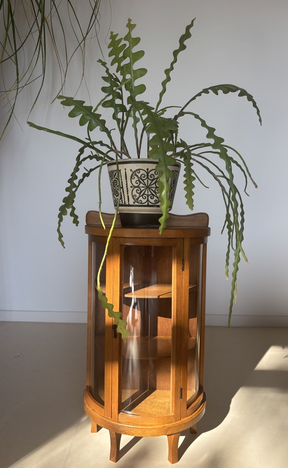 Image 1 of Charming Semicircular Display Case