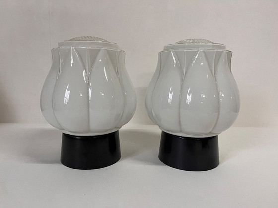 Image 1 of 2x Rara lampada Thabur bianca 'Tulip in Bloom' Art Déco anni '30