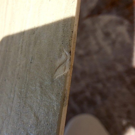 Image 1 of Leolux Liliom XL coffee table