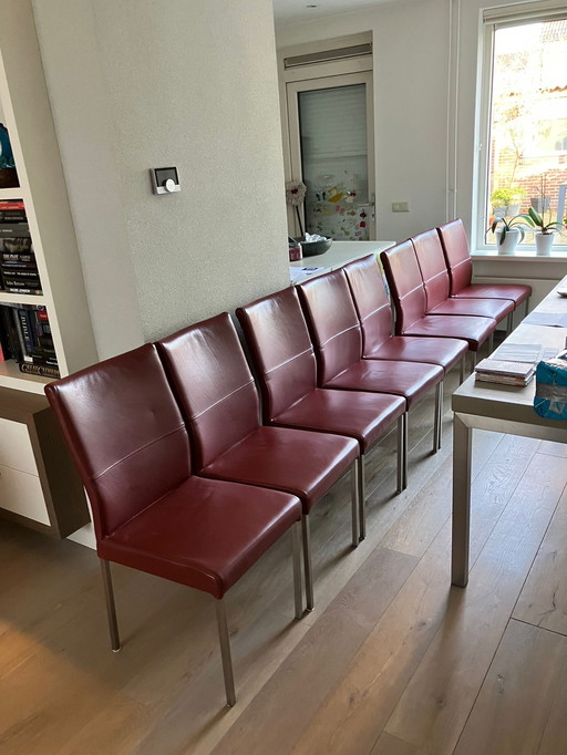 8 bordeauxrote Ledersessel