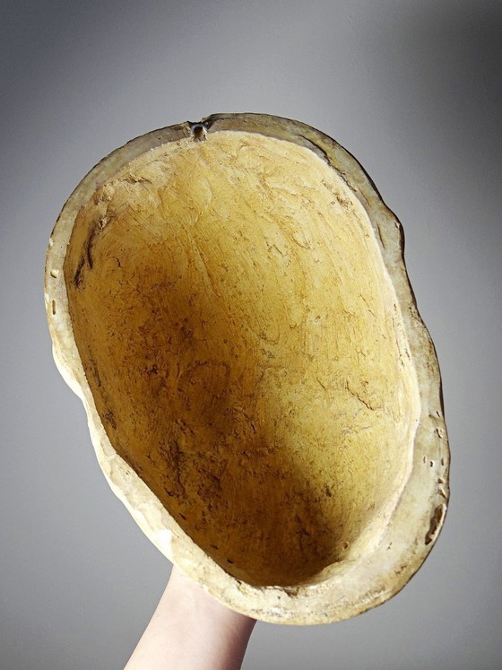 Image 1 of Gipsen dodenmasker van Beethoven, begin 20e eeuw