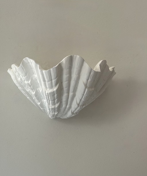 Shell wall lamp in matt white plaster, France 1960