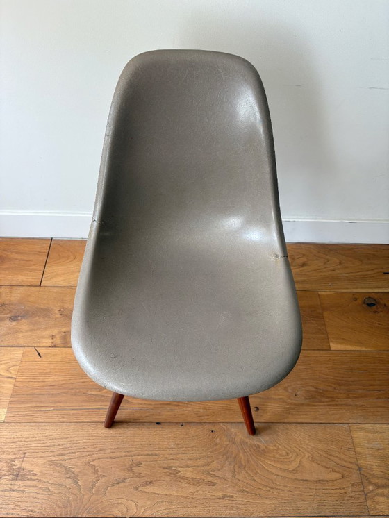 Image 1 of 3 Vintage Eames DSW Fiberglass Stoelen (Herman Miller) – Elephant Grey & Greige – Walnut Base