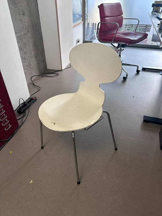 Ant di Arne Jacobsen – Fritz Hansen, Sedie da pranzo, Legno (photo 5 of 5)