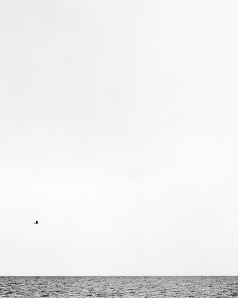 Frisia / Serie fotografica in 3 parti / 2011 / Opera personale – fotografie, Aluminium (photo 2 of 6)