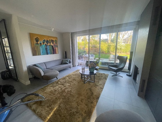 Image 1 of Selce Leolux. Grigio/marrone