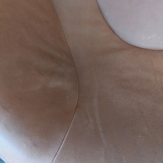 Image 1 of Label Hide Sessel