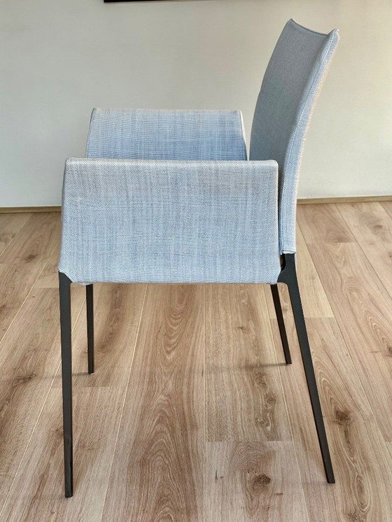 Image 1 of 4 Lia dining chairs Zanotta