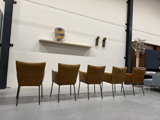 Image 1 of Sedia da pranzo Mali Vandenberg 5 Label Bovino Natural