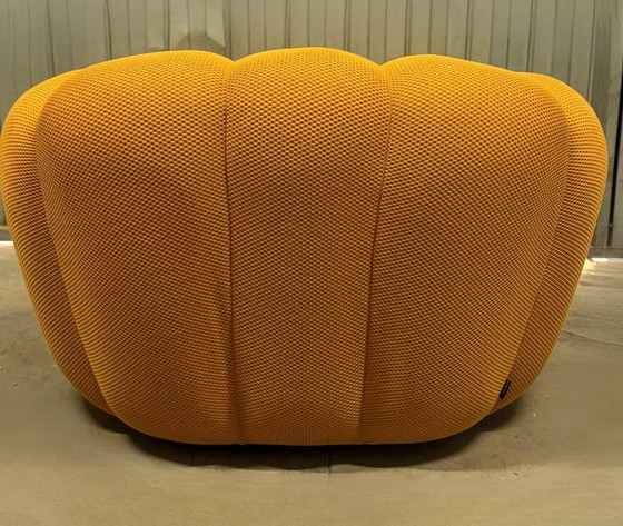 Roche Bobois Bubble Large Armchair – Sacha Lakic – Original – Textile, Wood (photo 2 of 5)