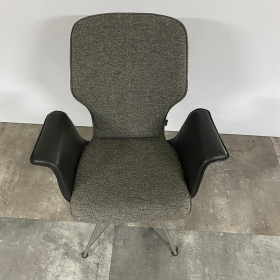 Nevio 3.0 Set of 4 – Bert Plantagie, Dining chairs, Leather, Plastic (photo 4 of 5)
