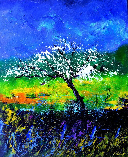 Appletree in spring 