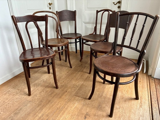 Image 1 of 6 sillas de comedor Thonet Mix-Match.