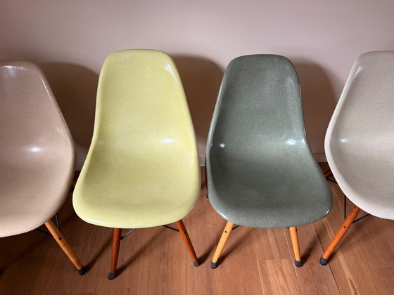 Image 1 of Eames Chair Fiberglas-Esszimmerstühle (8)