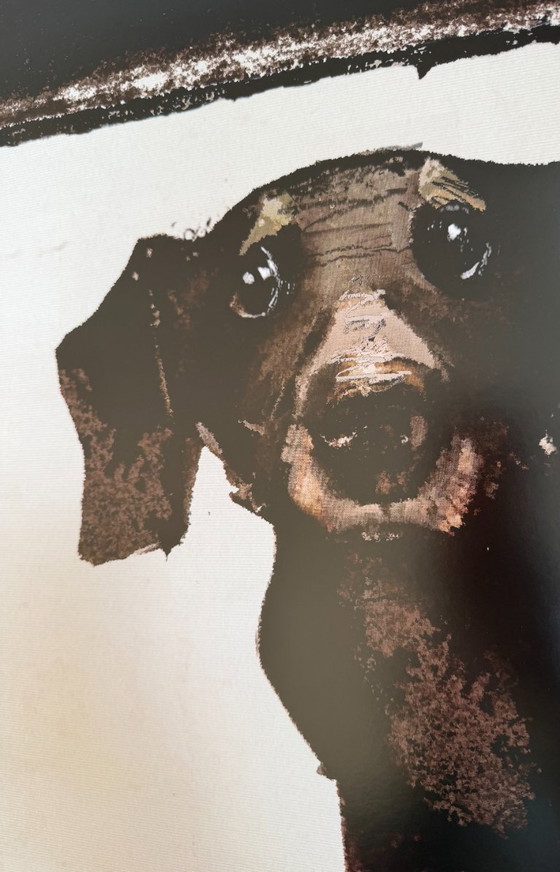 Image 1 of R.Kaja, Teckel au cinéma, Night with Film, affiche, 2017