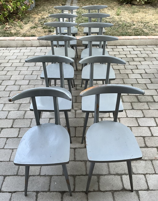 Set aus 12 Stella „Antilope“ Esszimmerstühlen, Frankreich, 1950er Jahre