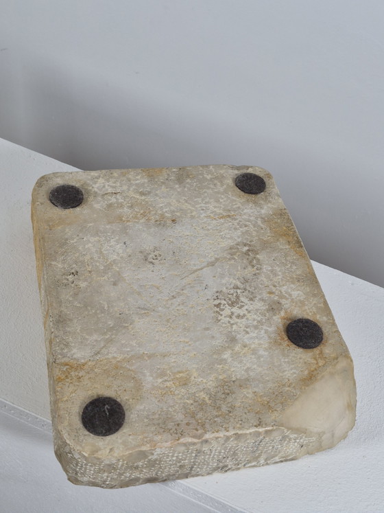 Antique Lithographic Stone Printing Stone Mollusks Snails Shells – Decorative Objects, Paper (photo 11 of 13)