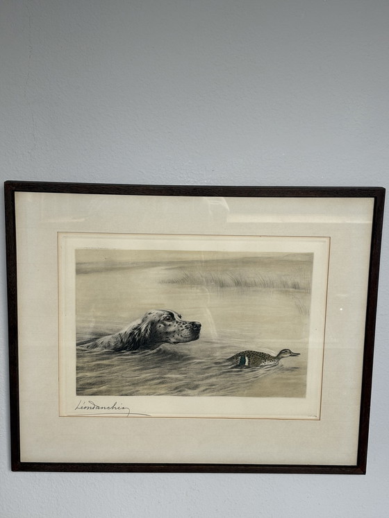 Image 1 of Original Léon Danchin Etching – English Setter & Duck – Signed Hunting Art
