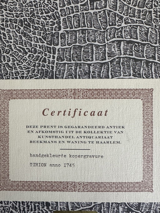 Handgekleurde kopergravure Tirion anno 1745 met certificaat – lithos zeefdrukken, Glass, Paper (photo 2 of 5)