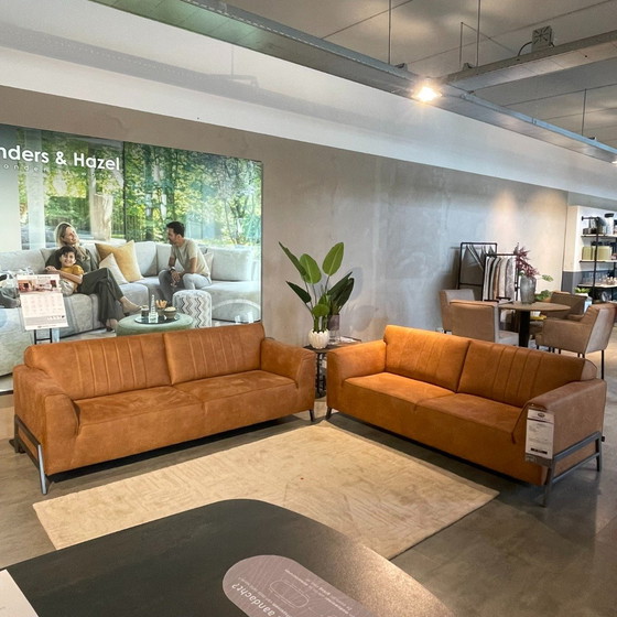 Image 1 of 2.5 Zembla