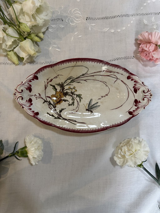 Vlinderschotel Sarreguemines