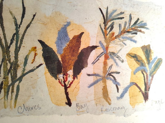 Image 1 of Acquerello botanico originale d'epoca | Studio di erbe con cornice | Fine del XX secolo