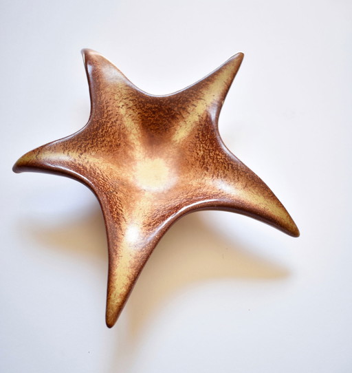 Roberto Rigon, pecera de estrellas de mar