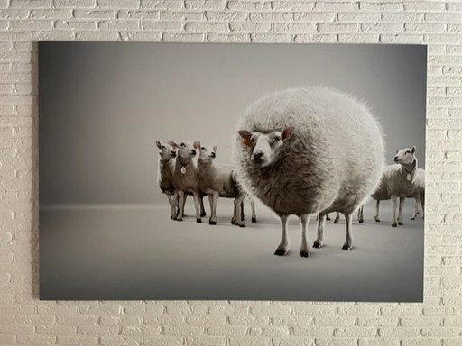 Lieven Dircks fotografie