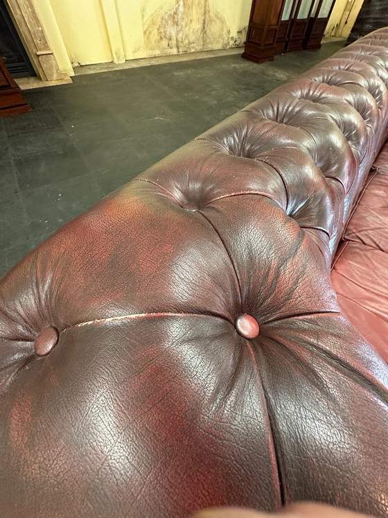 Chesterfield Sofa Worn. Oxblood Leather. 2.5 Seaters. – Chesterfield brand, 3-5 seaters, Wood (photo 6 of 8)