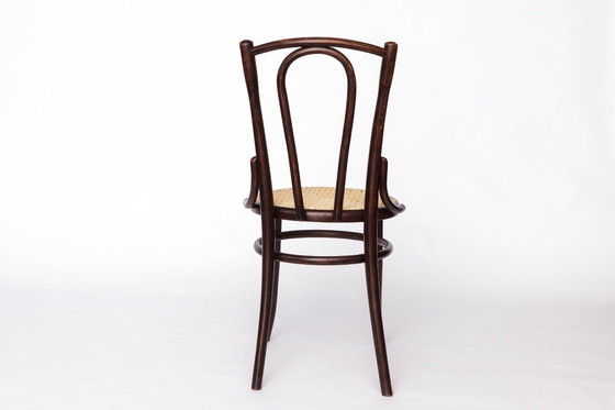 Image 1 of Fischel Bentwood Chair – Early 20th Century Thonet Style, Beechwood Frame with New Cane Seat, Antique Vintage Chair