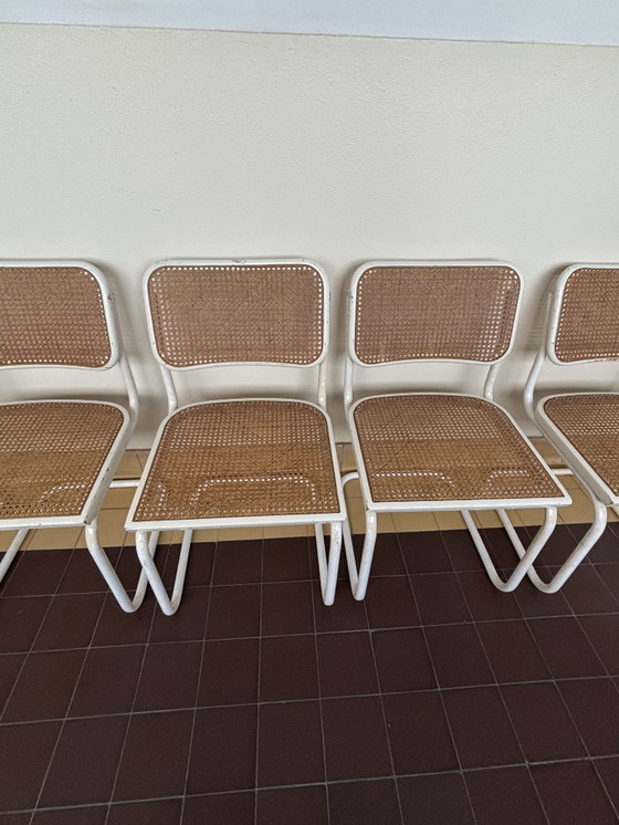 Image 1 of 5x Silla Cesca B32 de Marcel Breuer