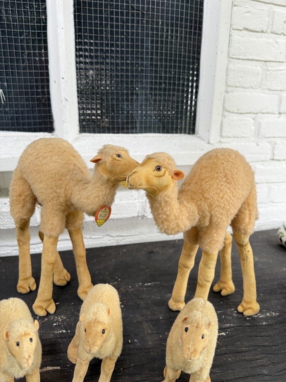 Image 1 of Zeldzame Steiff kameel familie – 5 stuks – met originele labels – ca. 1960/70