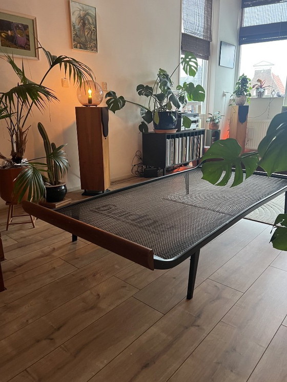 Image 1 of Auping Cleopatra Daybed (Dick Cordemeijer) '1953