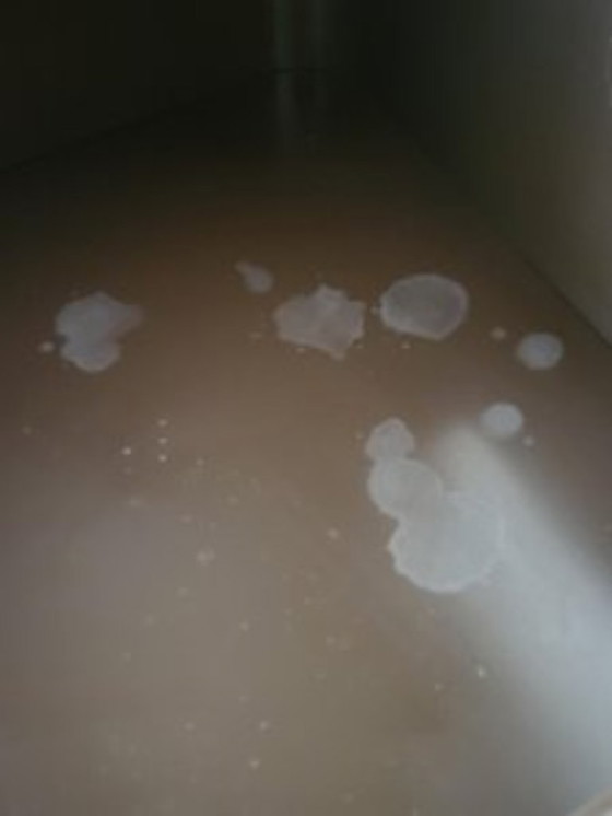 Image 1 of Marc Held Desserts für Prisunic Frankreich 1970