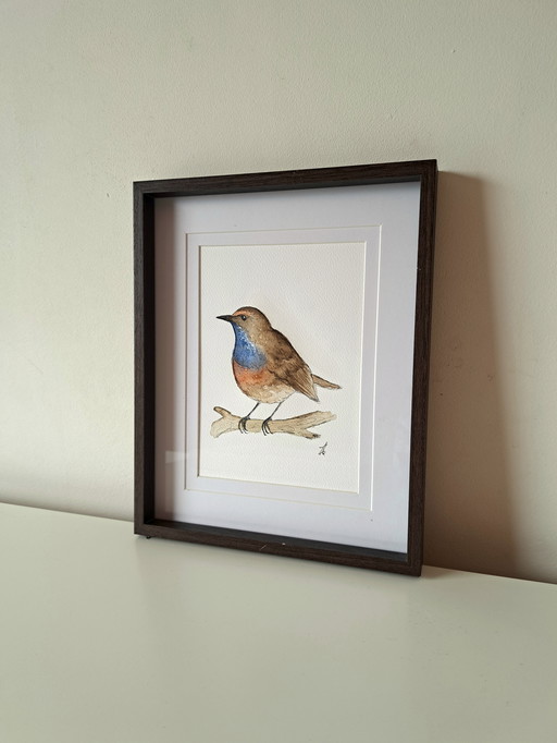 Watercolor painting Bluethroat Original | Framed