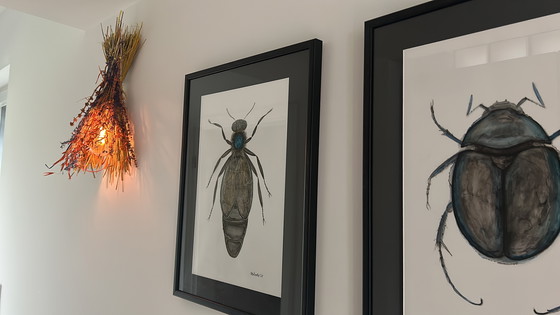 Image 1 of Originele "Macro-entomologie"-studies van Natalia Molinska (2021)

