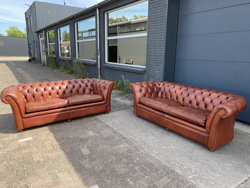 3+3 Seater Sofas Cigars Cognac Bendic – banken, Leather, Wood