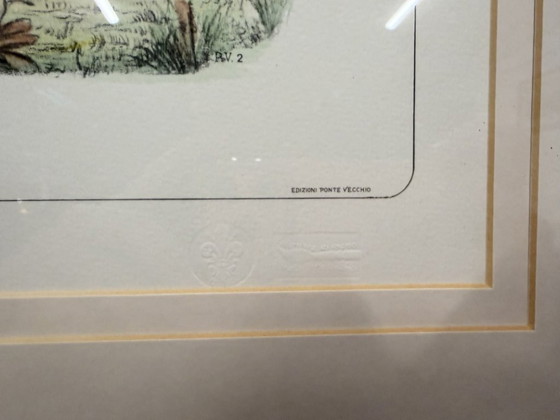 Stampa inglese antica Cavaliere in cornice di noce – Arte, Vetro, Carta (photo 5 of 5)